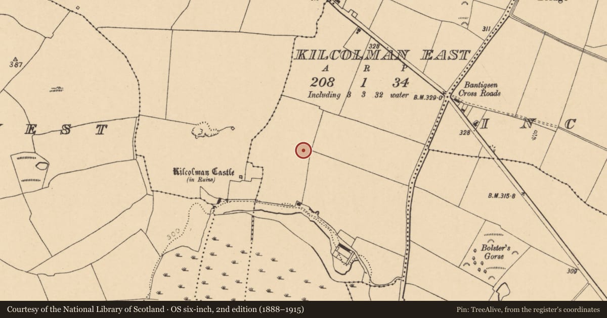 Ordnance Survey six-inch map, 2nd edition (1888–1915) covering the location of Standing stone, Kilcolman East, County Cork, with a pin at the register's coordinates