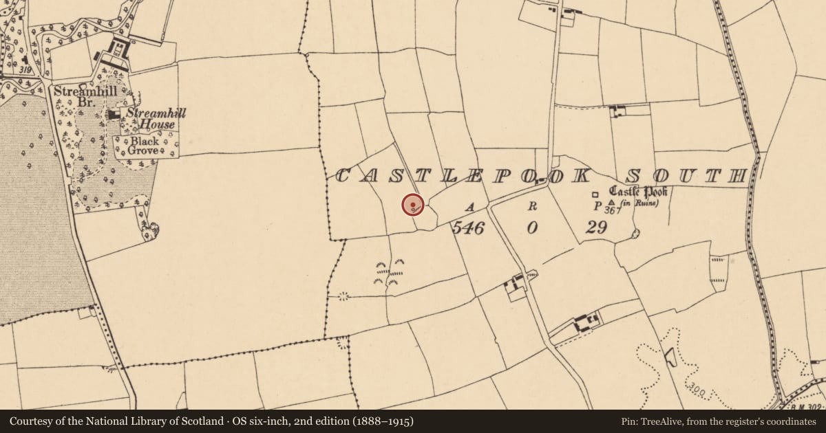 Ordnance Survey six-inch map, 2nd edition (1888–1915) covering the location of Kiln - lime, Castlepook South, County Cork, with a pin at the register's coordinates