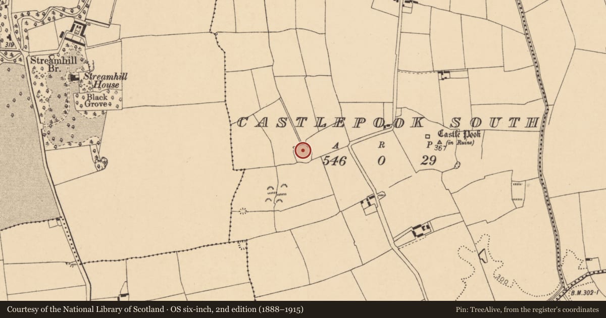 Ordnance Survey six-inch map, 2nd edition (1888–1915) covering the location of Ringfort - rath, Castlepook South, County Cork, with a pin at the register's coordinates