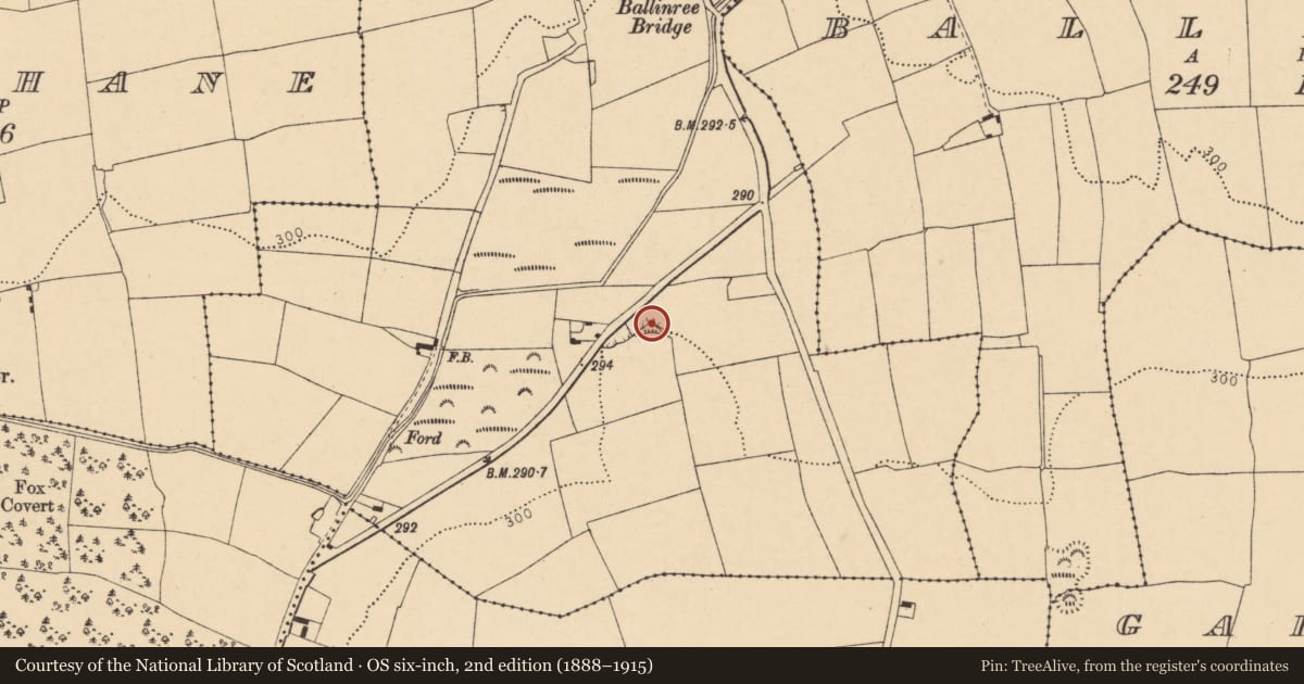 Ordnance Survey six-inch map, 2nd edition (1888–1915) covering the location of Cave, Castlepook South, County Cork, with a pin at the register's coordinates