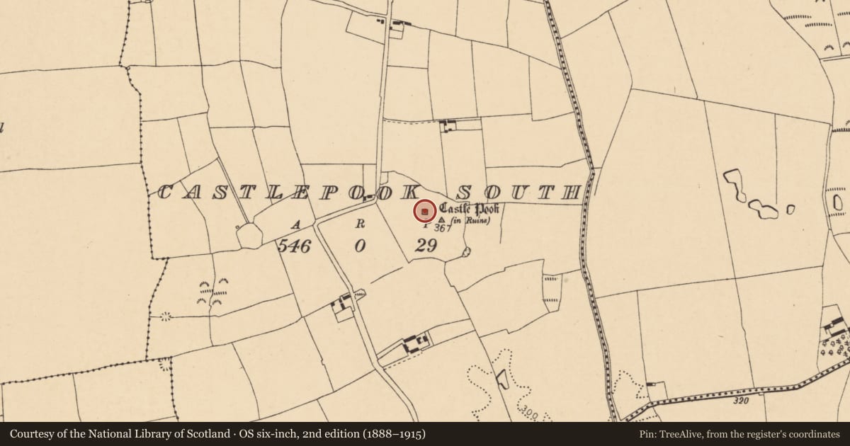 Ordnance Survey six-inch map, 2nd edition (1888–1915) covering the location of Castle - tower house, Castlepook South, County Cork, with a pin at the register's coordinates
