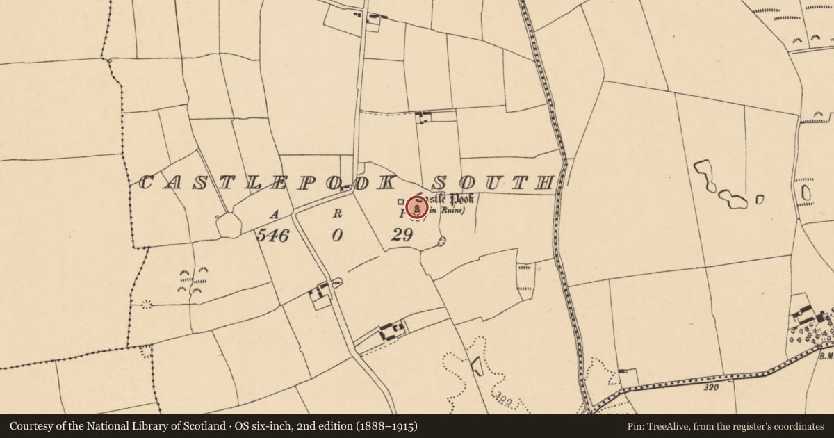 Ordnance Survey six-inch map, 2nd edition (1888–1915) covering the location of Bawn, Castlepook South, County Cork, with a pin at the register's coordinates