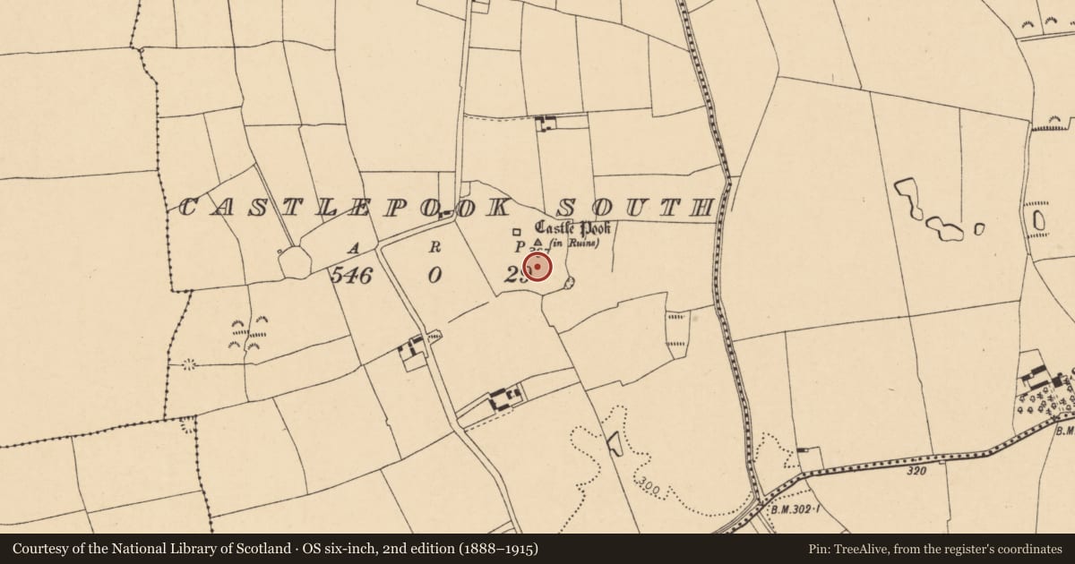 Ordnance Survey six-inch map, 2nd edition (1888–1915) covering the location of Ringfort - unclassified, Castlepook South, County Cork, with a pin at the register's coordinates