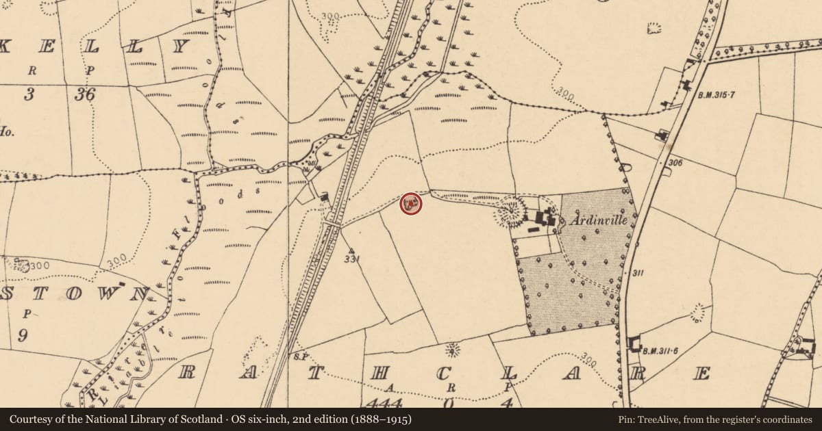 Ordnance Survey six-inch map, 2nd edition (1888–1915) covering the location of Kiln - lime, Rathclare, County Cork, with a pin at the register's coordinates
