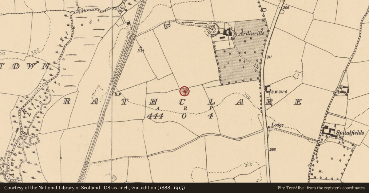 Ordnance Survey six-inch map, 2nd edition (1888–1915) covering the location of Ringfort - rath, Rathclare, County Cork, with a pin at the register's coordinates