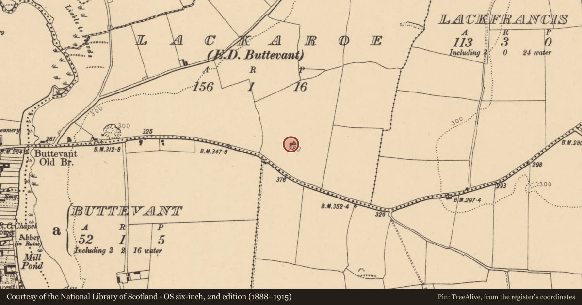 Ordnance Survey six-inch map, 2nd edition (1888–1915) covering the location of Mound, Lackaroe (Orrery and Kilmore By., Buttevant Par.), County Cork, with a pin at the register's coordinates