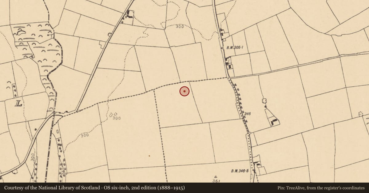 Ordnance Survey six-inch map, 2nd edition (1888–1915) covering the location of Standing stone, Ballyellis (Fermoy By., Doneraile Par.), County Cork, with a pin at the register's coordinates