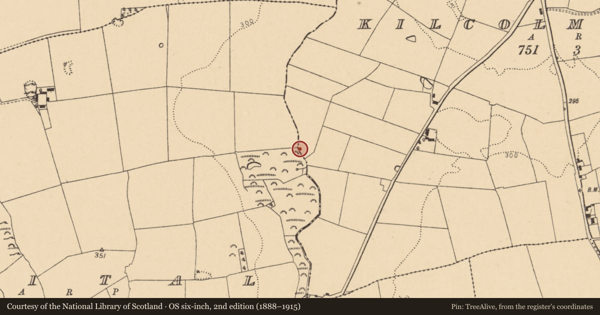 Ordnance Survey six-inch map, 2nd edition (1888–1915) covering the location of Fulacht fia, Kilcolman West, County Cork, with a pin at the register's coordinates