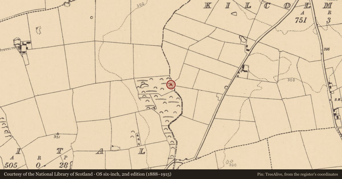 Ordnance Survey six-inch map, 2nd edition (1888–1915) covering the location of Fulacht fia, Spital, County Cork, with a pin at the register's coordinates