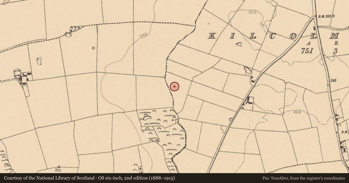 Ordnance Survey six-inch map, 2nd edition (1888–1915) covering the location of Fulacht fia, Kilcolman West, County Cork, with a pin at the register's coordinates