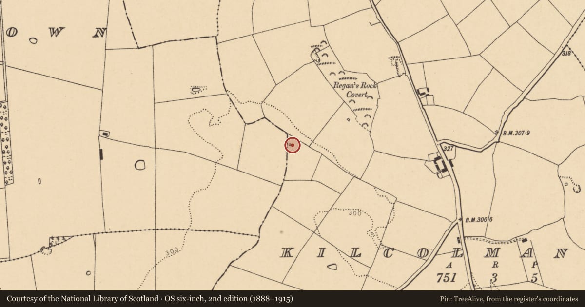 Ordnance Survey six-inch map, 2nd edition (1888–1915) covering the location of Fulacht fia, Kilcolman West, County Cork, with a pin at the register's coordinates