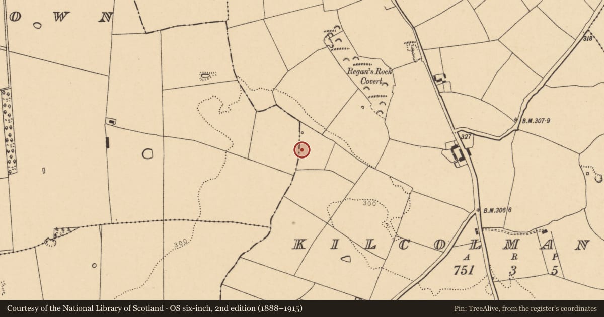 Ordnance Survey six-inch map, 2nd edition (1888–1915) covering the location of Barrow - ring-barrow, Kilcolman West, County Cork, with a pin at the register's coordinates
