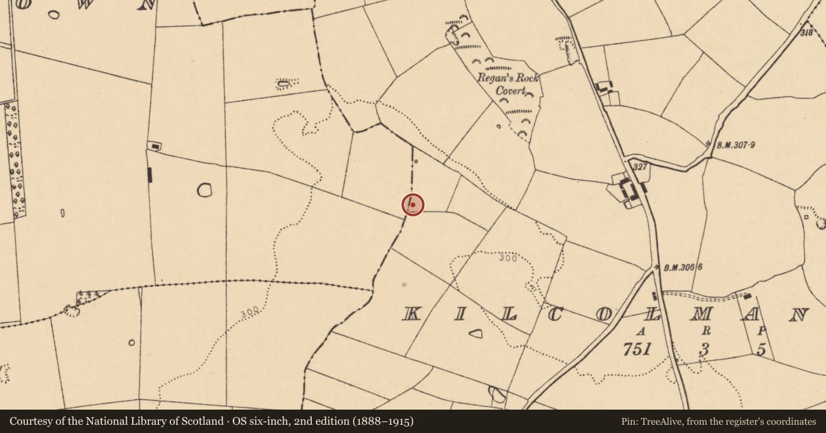 Ordnance Survey six-inch map, 2nd edition (1888–1915) covering the location of Fulacht fia, Kilcolman West, County Cork, with a pin at the register's coordinates
