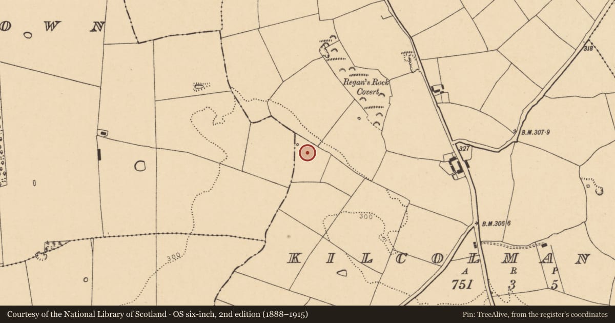 Ordnance Survey six-inch map, 2nd edition (1888–1915) covering the location of Fulacht fia, Kilcolman West, County Cork, with a pin at the register's coordinates