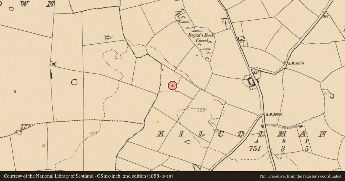 Ordnance Survey six-inch map, 2nd edition (1888–1915) covering the location of Fulacht fia, Kilcolman West, County Cork, with a pin at the register's coordinates