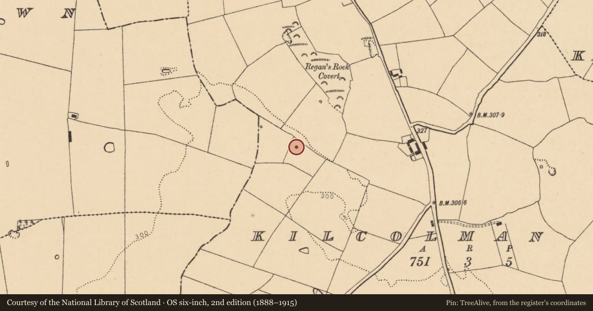 Ordnance Survey six-inch map, 2nd edition (1888–1915) covering the location of Fulacht fia, Kilcolman West, County Cork, with a pin at the register's coordinates