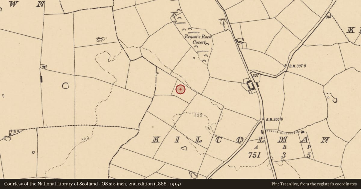 Ordnance Survey six-inch map, 2nd edition (1888–1915) covering the location of Fulacht fia, Kilcolman West, County Cork, with a pin at the register's coordinates