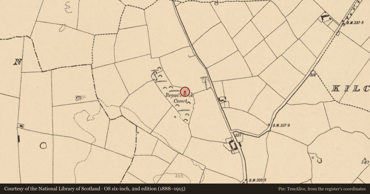 Ordnance Survey six-inch map, 2nd edition (1888–1915) covering the location of Enclosure, Kilcolman West, County Cork, with a pin at the register's coordinates