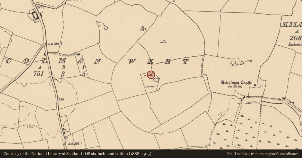 Ordnance Survey six-inch map, 2nd edition (1888–1915) covering the location of Fulacht fia, Kilcolman West, County Cork, with a pin at the register's coordinates