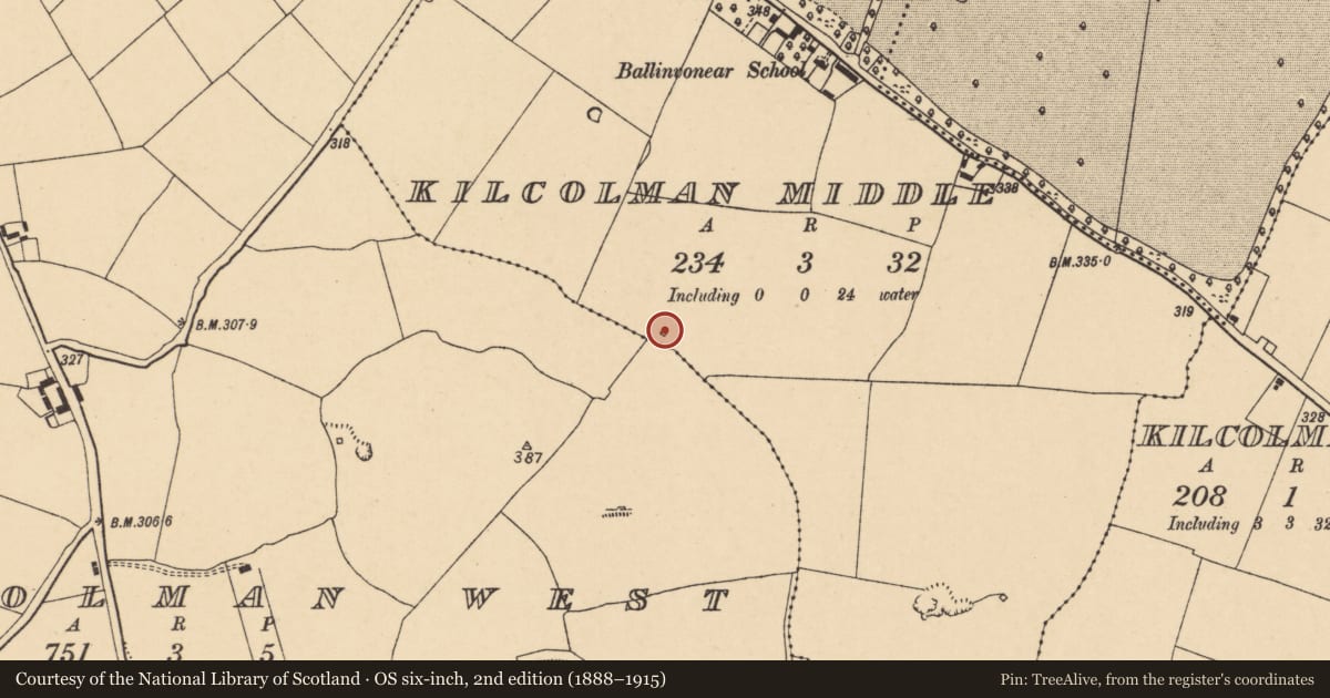 Ordnance Survey six-inch map, 2nd edition (1888–1915) covering the location of Kiln - lime, Kilcolman Middle, County Cork, with a pin at the register's coordinates