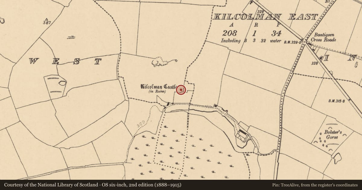Ordnance Survey six-inch map, 2nd edition (1888–1915) covering the location of Bawn, Kilcolman Middle, County Cork, with a pin at the register's coordinates