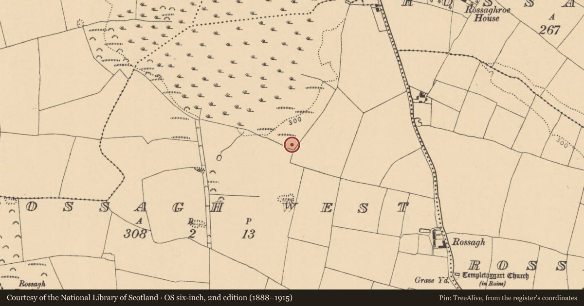 Ordnance Survey six-inch map, 2nd edition (1888–1915) covering the location of Fulacht fia, Rossagh West, County Cork, with a pin at the register's coordinates