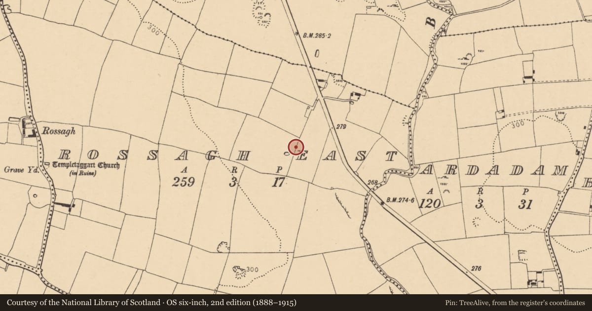 Ordnance Survey six-inch map, 2nd edition (1888–1915) covering the location of Earthwork, Rossagh East, County Cork, with a pin at the register's coordinates