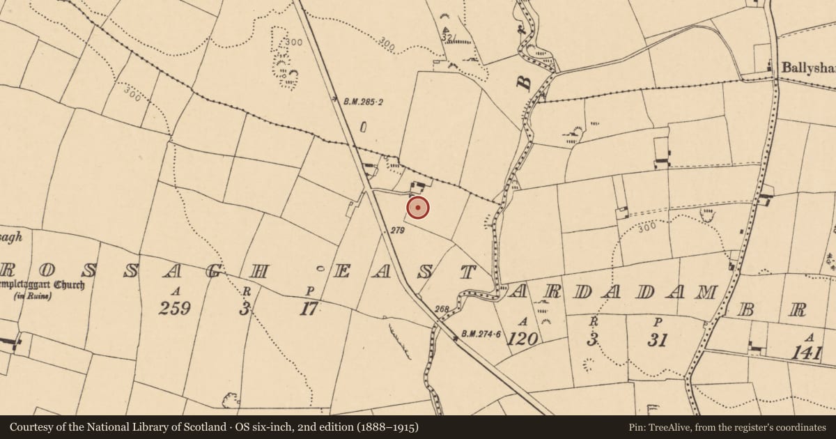 Ordnance Survey six-inch map, 2nd edition (1888–1915) covering the location of Fulacht fia, Rossagh East, County Cork, with a pin at the register's coordinates