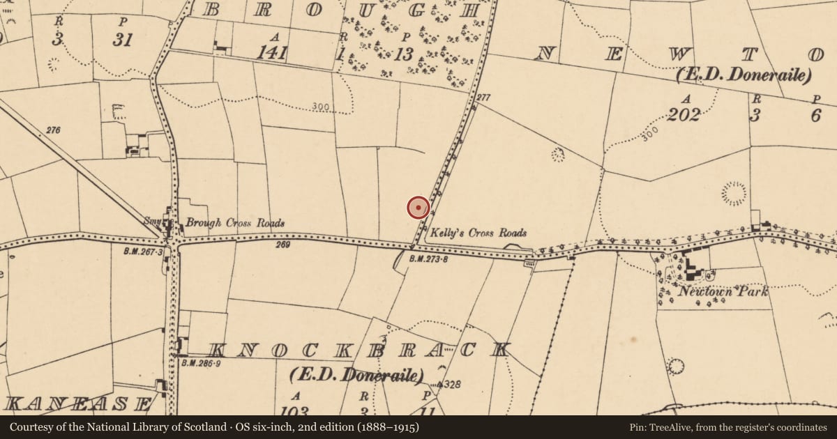 Ordnance Survey six-inch map, 2nd edition (1888–1915) covering the location of Fulacht fia, Brough, County Cork, with a pin at the register's coordinates