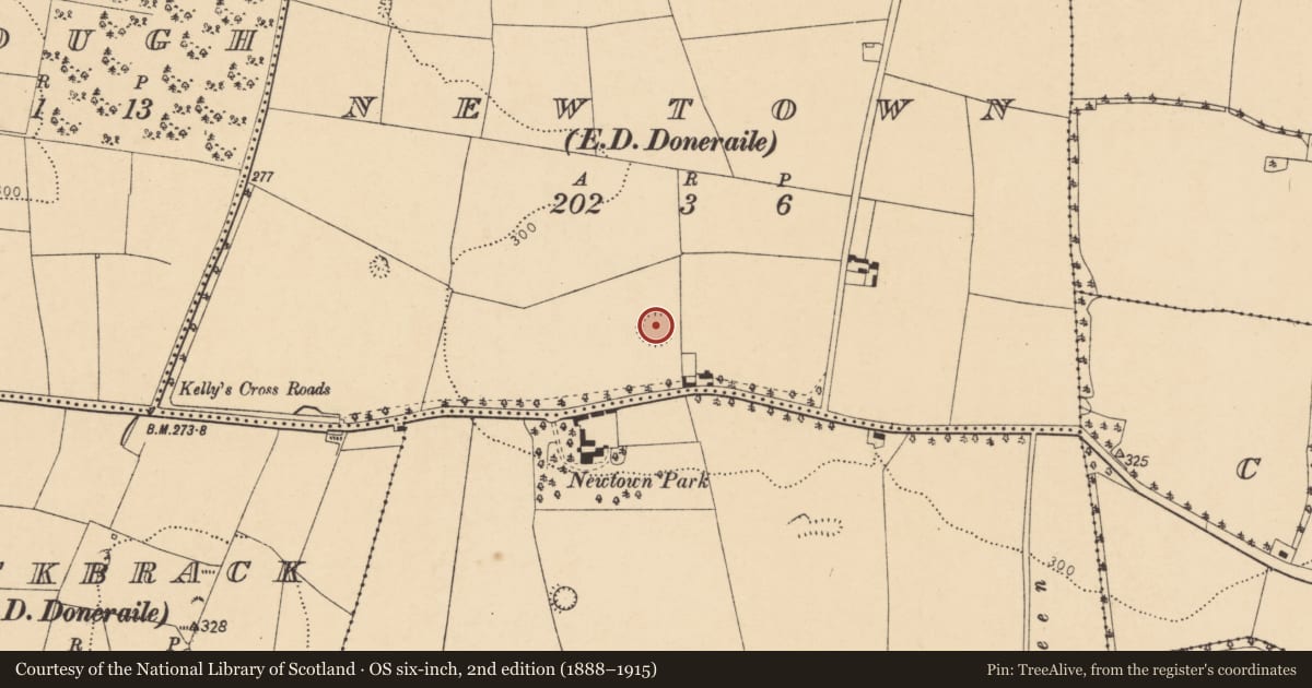 Ordnance Survey six-inch map, 2nd edition (1888–1915) covering the location of Ringfort - rath, Newtown (Fermoy By., Doneraile Par.), County Cork, with a pin at the register's coordinates