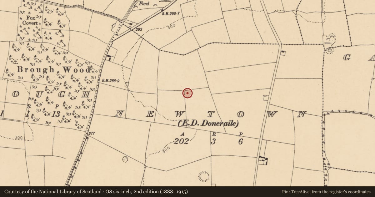 Ordnance Survey six-inch map, 2nd edition (1888–1915) covering the location of Ringfort - rath, Newtown (Fermoy By., Doneraile Par.), County Cork, with a pin at the register's coordinates