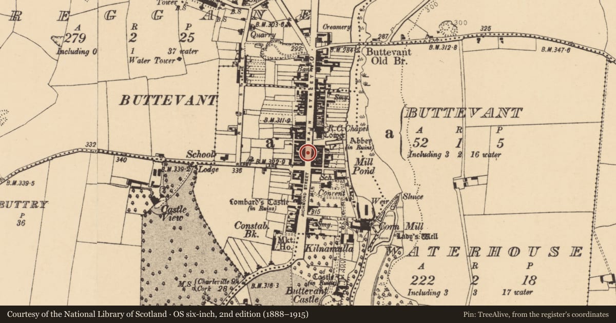 Ordnance Survey six-inch map, 2nd edition (1888–1915) covering the location of Historic town, Buttevant, County Cork, with a pin at the register's coordinates