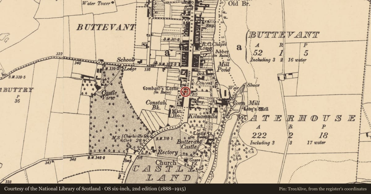 Ordnance Survey six-inch map, 2nd edition (1888–1915) covering the location of Castle - tower house, Buttevant, County Cork, with a pin at the register's coordinates