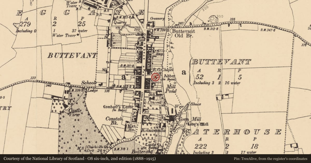 Ordnance Survey six-inch map, 2nd edition (1888–1915) covering the location of Religious house - Franciscan friars, Buttevant, County Cork, with a pin at the register's coordinates