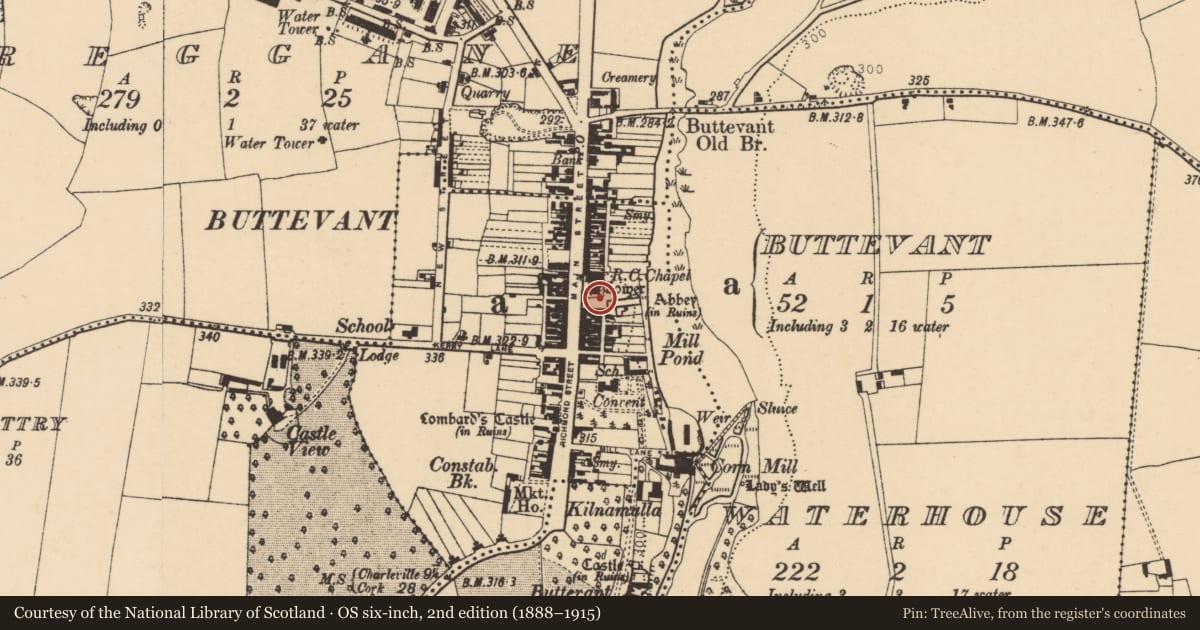 Ordnance Survey six-inch map, 2nd edition (1888–1915) covering the location of Graveyard, Buttevant, County Cork, with a pin at the register's coordinates