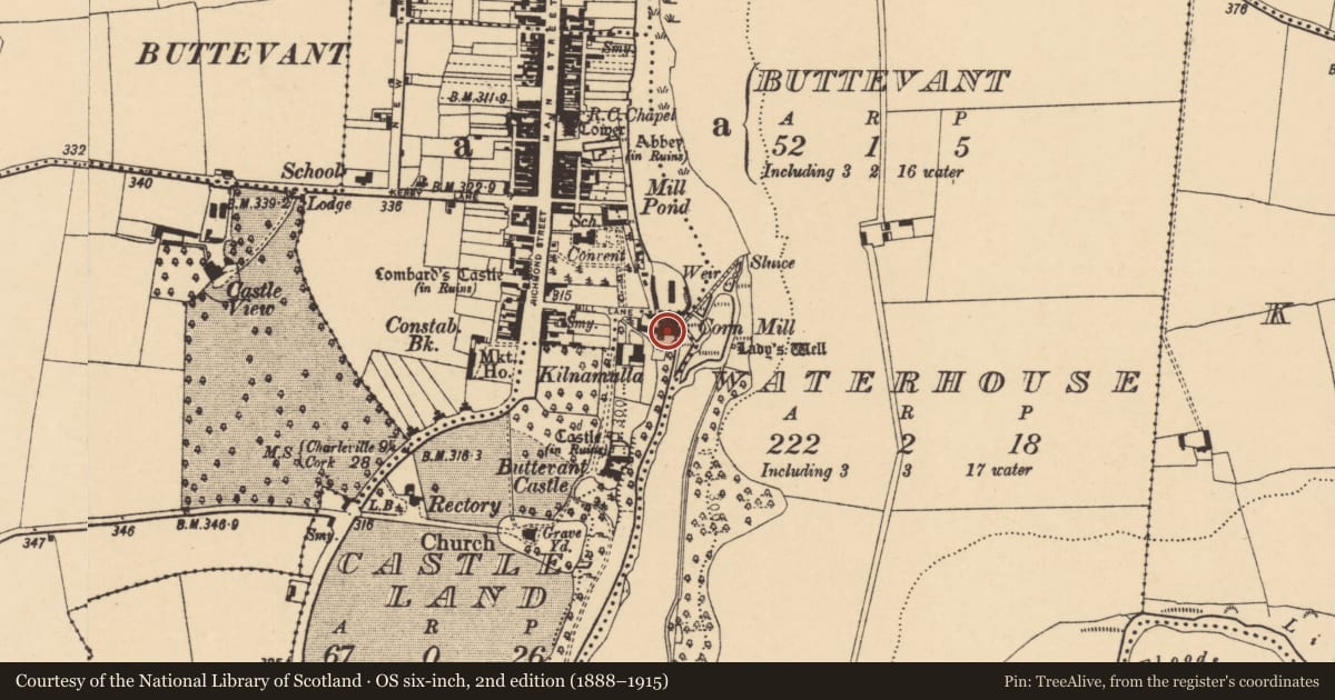 Ordnance Survey six-inch map, 2nd edition (1888–1915) covering the location of Mill - corn, Buttevant, County Cork, with a pin at the register's coordinates