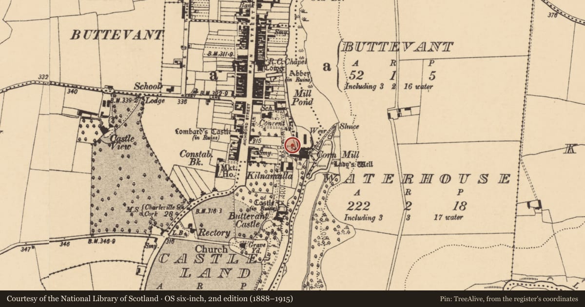 Ordnance Survey six-inch map, 2nd edition (1888–1915) covering the location of Religious house - unclassified, Buttevant, County Cork, with a pin at the register's coordinates