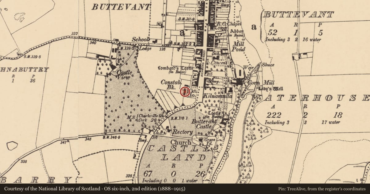 Ordnance Survey six-inch map, 2nd edition (1888–1915) covering the location of Market-house, Buttevant, County Cork, with a pin at the register's coordinates