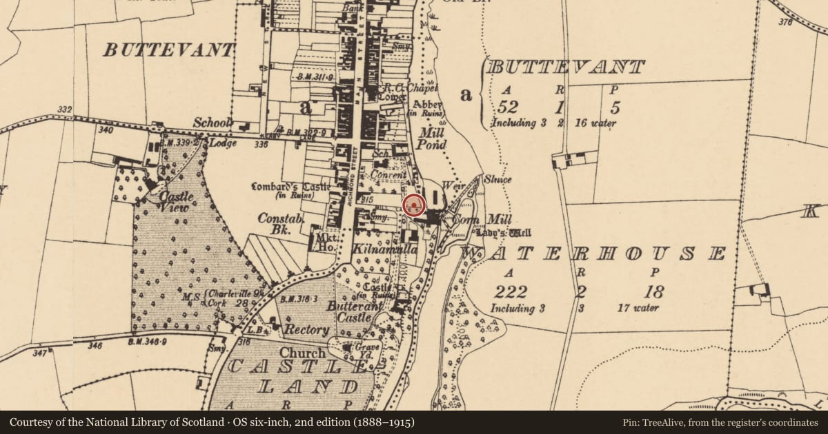 Ordnance Survey six-inch map, 2nd edition (1888–1915) covering the location of Church, Buttevant, County Cork, with a pin at the register's coordinates