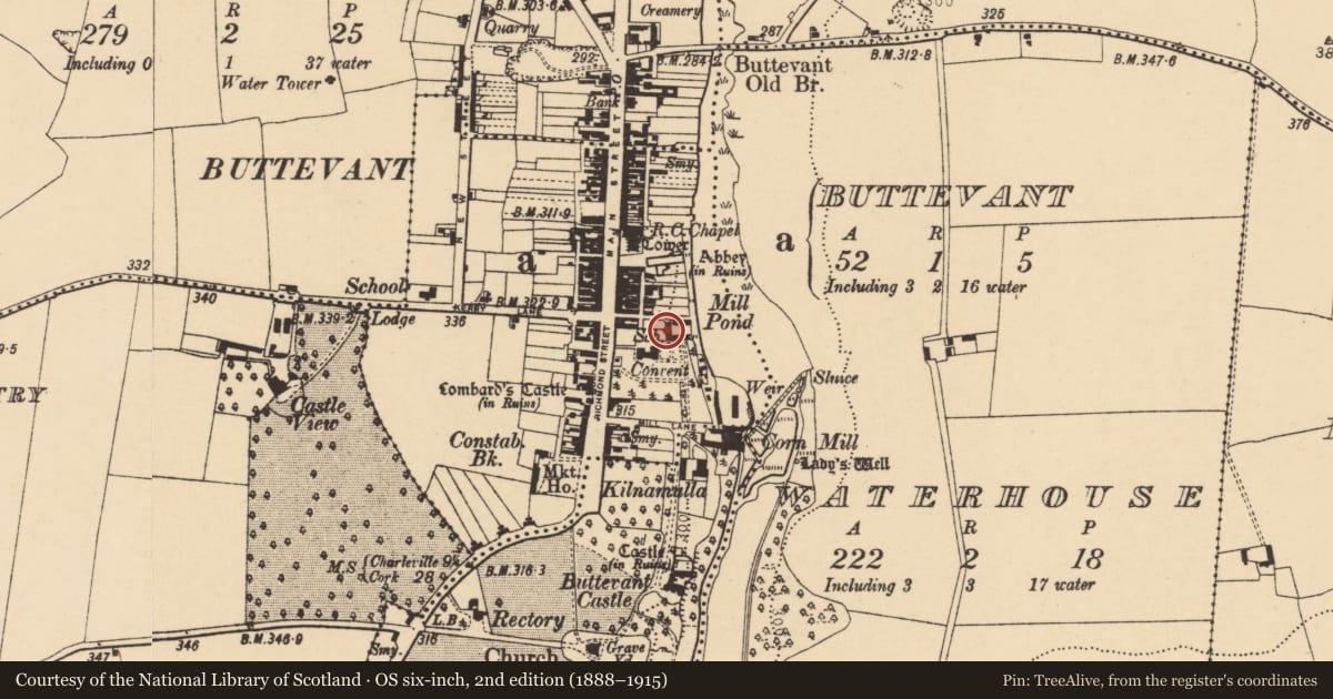 Ordnance Survey six-inch map, 2nd edition (1888–1915) covering the location of Fever hospital, Buttevant, County Cork, with a pin at the register's coordinates