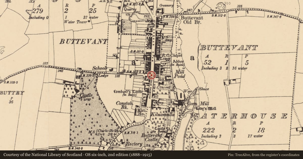 Ordnance Survey six-inch map, 2nd edition (1888–1915) covering the location of Town defences, Buttevant, County Cork, with a pin at the register's coordinates
