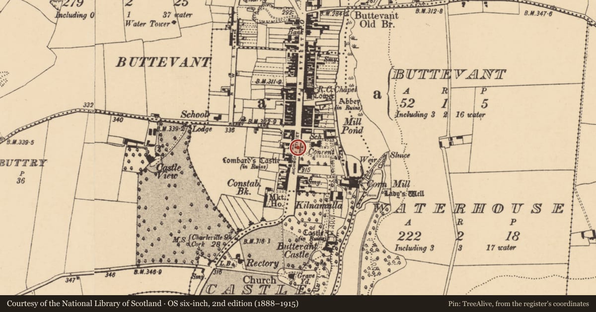 Ordnance Survey six-inch map, 2nd edition (1888–1915) covering the location of Excavation - miscellaneous, Buttevant, County Cork, with a pin at the register's coordinates
