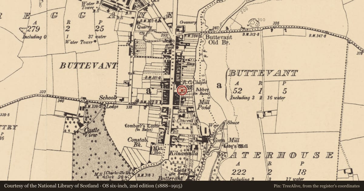 Ordnance Survey six-inch map, 2nd edition (1888–1915) covering the location of Wall monument, Buttevant, County Cork, with a pin at the register's coordinates