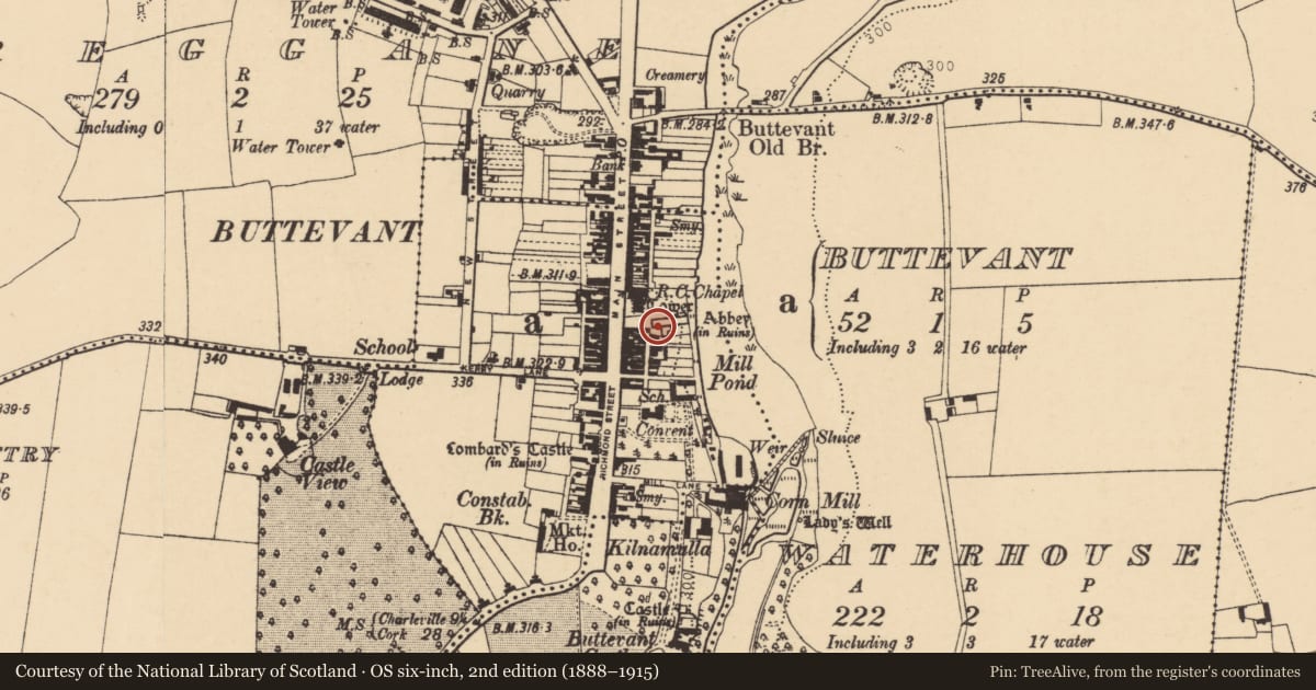 Ordnance Survey six-inch map, 2nd edition (1888–1915) covering the location of Wall monument, Buttevant, County Cork, with a pin at the register's coordinates