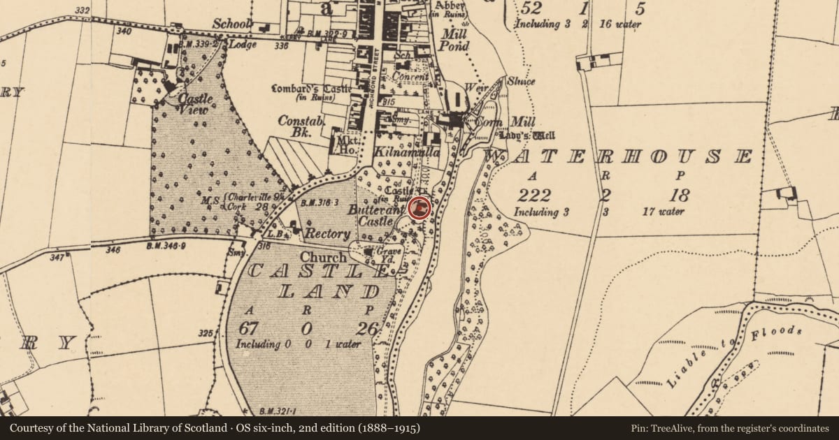 Ordnance Survey six-inch map, 2nd edition (1888–1915) covering the location of Castle - Anglo-Norman masonry castle, Castleland, County Cork, with a pin at the register's coordinates