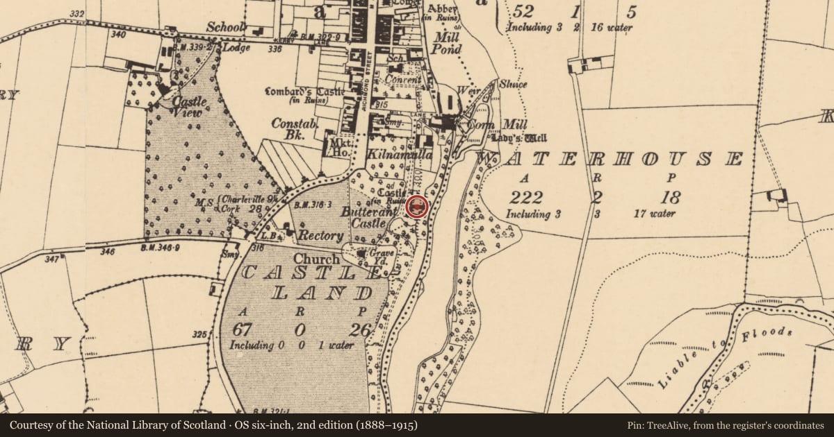 Ordnance Survey six-inch map, 2nd edition (1888–1915) covering the location of Country house, Castleland, County Cork, with a pin at the register's coordinates