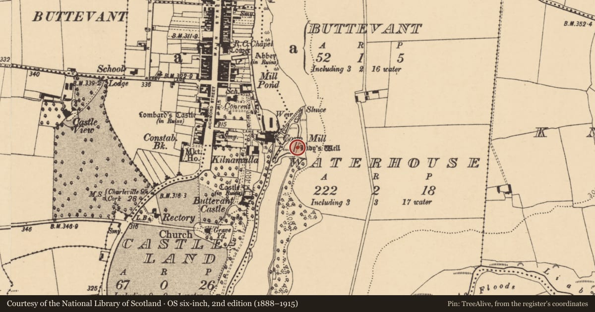 Ordnance Survey six-inch map, 2nd edition (1888–1915) covering the location of Ritual site - holy well, Waterhouse, County Cork, with a pin at the register's coordinates