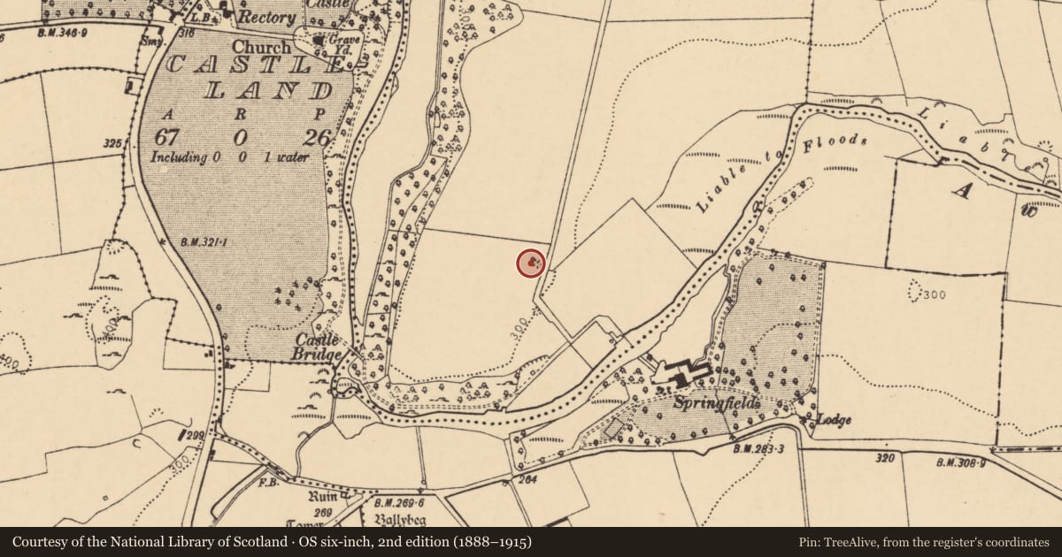 Ordnance Survey six-inch map, 2nd edition (1888–1915) covering the location of Kiln - lime, Waterhouse, County Cork, with a pin at the register's coordinates