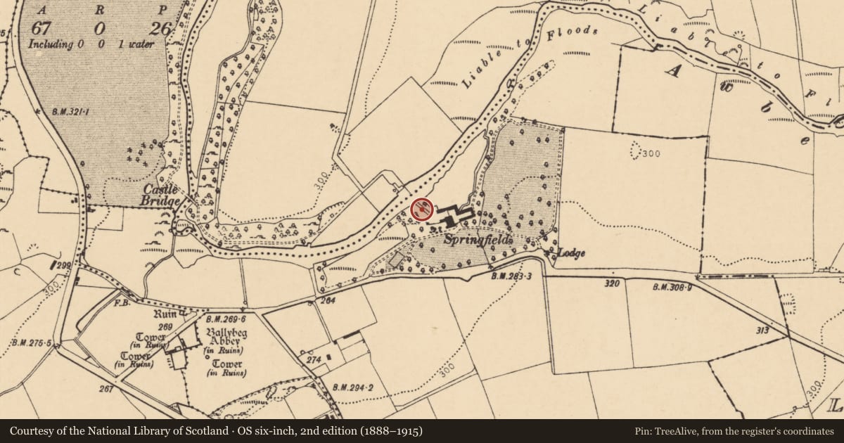 Ordnance Survey six-inch map, 2nd edition (1888–1915) covering the location of Fish-pond, Ballybeg East, County Cork, with a pin at the register's coordinates