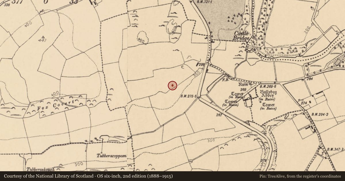 Ordnance Survey six-inch map, 2nd edition (1888–1915) covering the location of Kiln - lime, Ballybeg West, County Cork, with a pin at the register's coordinates